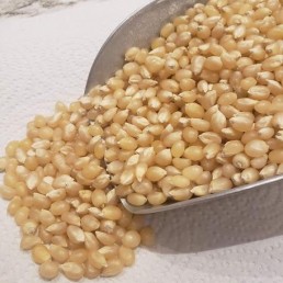 White Popping Corn - per lb